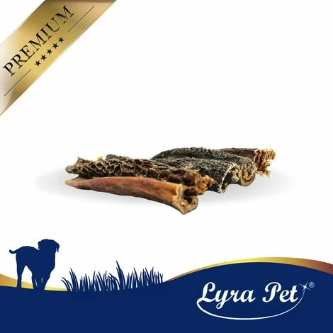 1 Kg Lyra Pet® Rinderpansen 12 - 15 Cm 2 1 Kg Lyra Pet® Rinderpansen 12 - 15 Cm – Bild 2