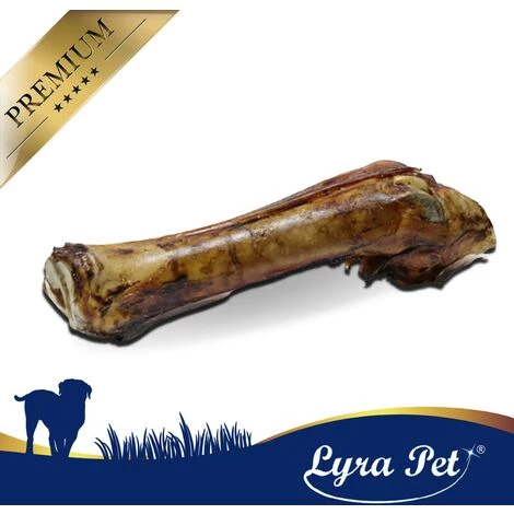 1 Stk. Lyra Pet® Kalbsunterbein 2 1 Stk. Lyra Pet® Kalbsunterbein – Bild 2