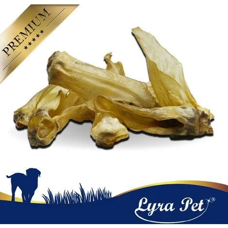 10 Stk. Lyra Pet® Rehohren 2 10 Stk. Lyra Pet® Rehohren – Bild 2