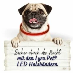 1 Stk. Lyra Pet® LED Halsband 70 Cm Rot -Hundefutter Onlineshop 28554171 3