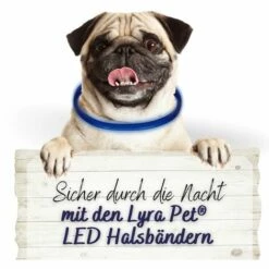 1 Stk. Lyra Pet® LED Halsband 70 Cm Blau 5 1 Stk. Lyra Pet® LED Halsband 70 Cm Blau -Hundefutter Onlineshop 28554172 3