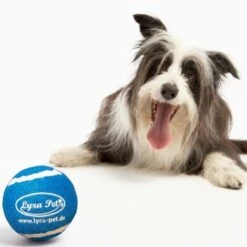 1 Stk. Lyra Pet® Tennis Ball 5 1 Stk. Lyra Pet® Tennis Ball -Hundefutter Onlineshop 29984477 3