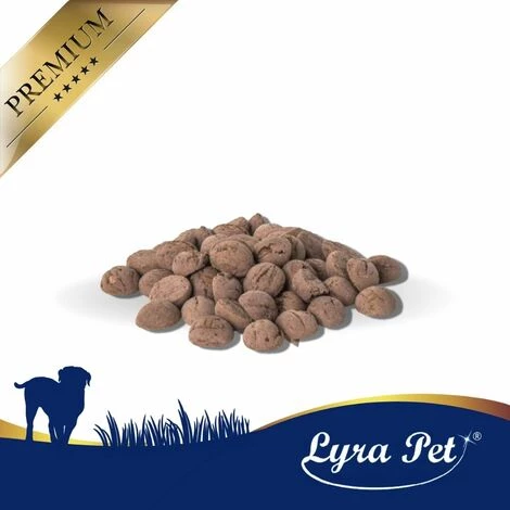 250 G Lyra Pet® Hundekekse Mit Pferd 2 250 G Lyra Pet® Hundekekse Mit Pferd – Bild 2