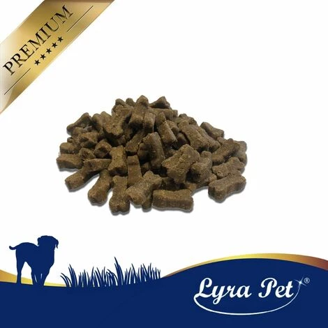 250 G Lyra Pet® Hundeknochen Mit Insekten 2 250 G Lyra Pet® Hundeknochen Mit Insekten – Bild 2