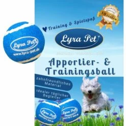 1 Stk. Lyra Pet® Apportier- Und Trainingsball