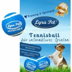 1 Stk. Lyra Pet® Tennisball Für Interaktives Spielen