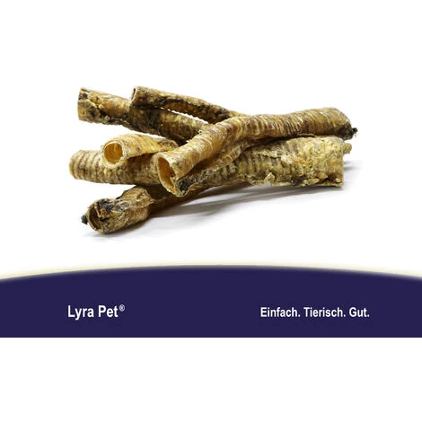1 Kg Lyra Pet® Rinderstrossen Ca. 12 - 15 Cm Dry Aged & Gedörrt 2 1 Kg Lyra Pet® Rinderstrossen Ca. 12 - 15 Cm Dry Aged & Gedörrt – Bild 2