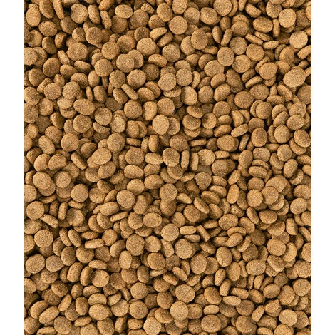 Dehner Hundetrockenfutter Senior, Knusper Mix Mit Geflügel, 12 Kg 2 Dehner Hundetrockenfutter Senior, Knusper Mix Mit Geflügel, 12 Kg – Bild 2