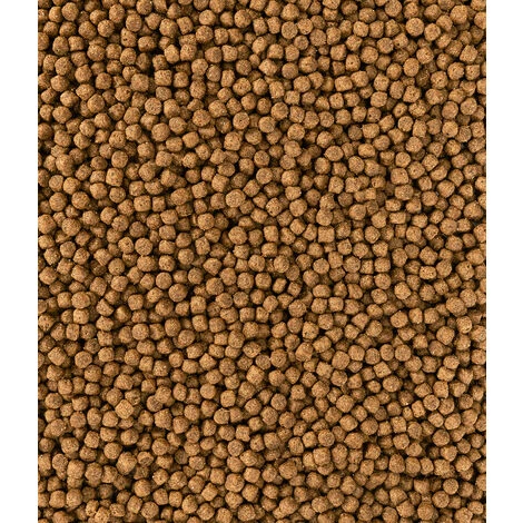 Dehner Hundetrockenfutter Junior, Knusper Mix Mit Geflügel, 12 Kg 2 Dehner Hundetrockenfutter Junior, Knusper Mix Mit Geflügel, 12 Kg – Bild 2