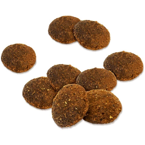 Dehner Premium Hundetrockenfutter Maxi Senior, Ente Und Lamm Mit Kartoffel, 4 Kg 2 Dehner Premium Hundetrockenfutter Maxi Senior, Ente Und Lamm Mit Kartoffel, 4 Kg – Bild 2