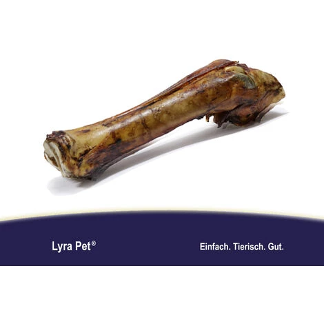 1 Stk. Lyra Pet® Kalbsunterbein Naturbelassen & Luftgetrocknet 2 1 Stk. Lyra Pet® Kalbsunterbein Naturbelassen & Luftgetrocknet – Bild 2