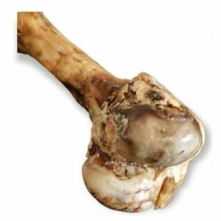 ANIMALLPARADISE Geräucherter Rinderknochen XXL 45 Cm Für Hunde -Hundefutter Onlineshop 52030894 3