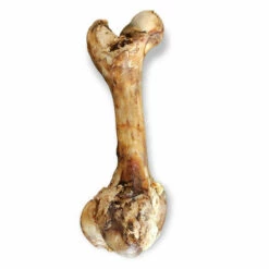 ANIMALLPARADISE Geräucherter Rinderknochen XXL 45 Cm Für Hunde -Hundefutter Onlineshop 52030894 4