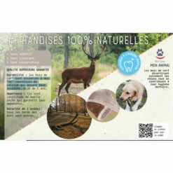 ANIMALLPARADISE Hirschgeweih Ganzes Hard, Ca. 18 Cm, Für Hunde + 20 Kg. -Hundefutter Onlineshop 52031765 5