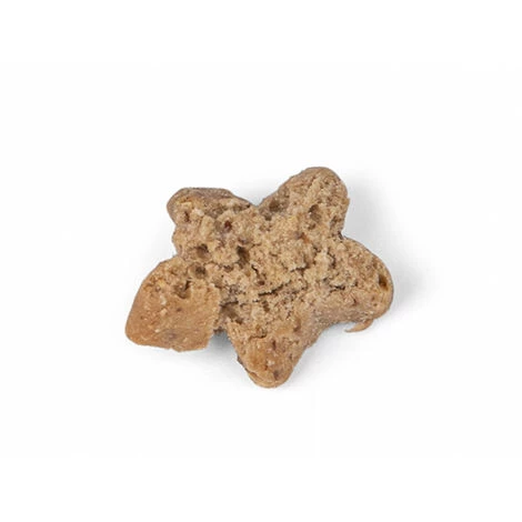 FANTAIL Getreide- Und Glutenfreies Enten-Trainingsfutter 140 G Für Hunde 3 FANTAIL Getreide- Und Glutenfreies Enten-Trainingsfutter 140 G Für Hunde – Bild 3