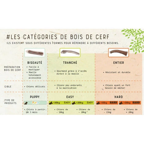 ZOLUX Hartes Hirschgeweih, Ca. 15 Cm, Für Hunde Unter 15 Kg. 5 ZOLUX Hartes Hirschgeweih, Ca. 15 Cm, Für Hunde Unter 15 Kg. – Bild 5