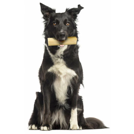 ZOLUX Käsesnack 57 Gr Für Hunde Unter 10 Kg 2 ZOLUX Käsesnack 57 Gr Für Hunde Unter 10 Kg – Bild 2