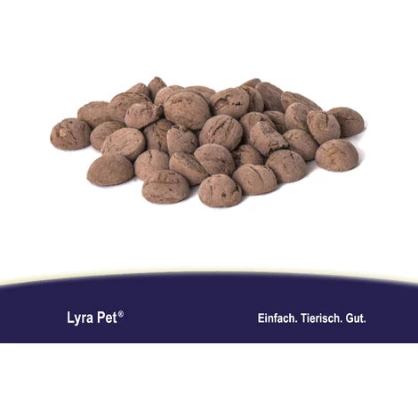 250 G Lyra Pet® Hundekekse Mit Innereien Vom Pferd 2 250 G Lyra Pet® Hundekekse Mit Innereien Vom Pferd – Bild 2