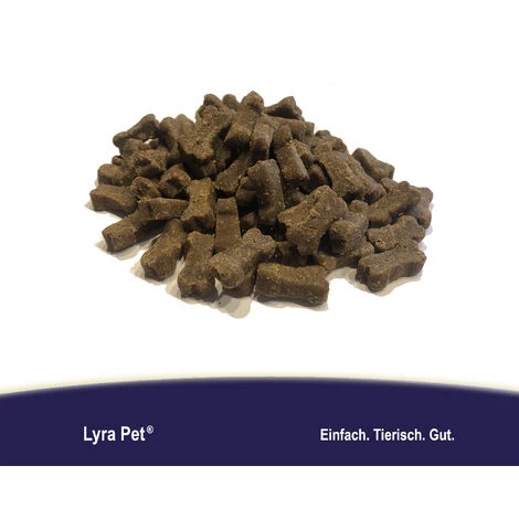 250 G Lyra Pet® Hundeknochen Mit Insektenprotein & Süßkartoffel 2 250 G Lyra Pet® Hundeknochen Mit Insektenprotein & Süßkartoffel – Bild 2