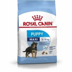 ROYAL CANIN 35230 MAXI JUNIOR 4 KG- HUNDEFUTTER