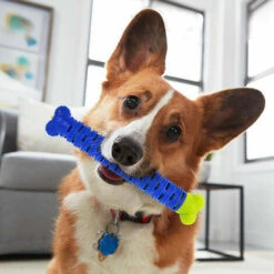SHOPSTORY CHEWBRUSH: Der Anti-Kalk-Kauknochen Für Hunde