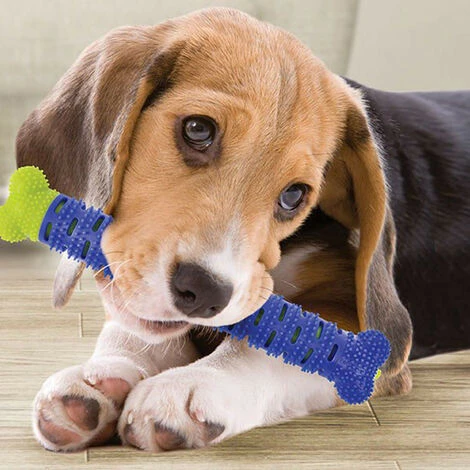 SHOPSTORY CHEWBRUSH: Der Anti-Kalk-Kauknochen Für Hunde 2 SHOPSTORY CHEWBRUSH: Der Anti-Kalk-Kauknochen Für Hunde – Bild 2