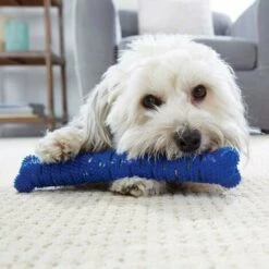 SHOPSTORY CHEWBRUSH: Der Anti-Kalk-Kauknochen Für Hunde 7 SHOPSTORY CHEWBRUSH: Der Anti-Kalk-Kauknochen Für Hunde -Hundefutter Onlineshop 54675238 3