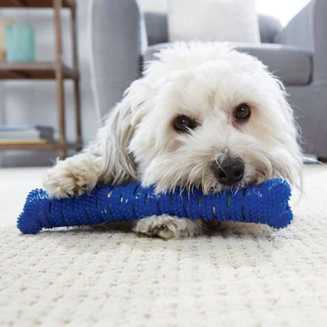 SHOPSTORY CHEWBRUSH: Der Anti-Kalk-Kauknochen Für Hunde 3 SHOPSTORY CHEWBRUSH: Der Anti-Kalk-Kauknochen Für Hunde – Bild 3