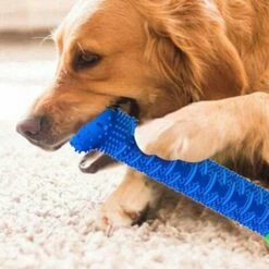 SHOPSTORY CHEWBRUSH: Der Anti-Kalk-Kauknochen Für Hunde 8 SHOPSTORY CHEWBRUSH: Der Anti-Kalk-Kauknochen Für Hunde -Hundefutter Onlineshop 54675238 4