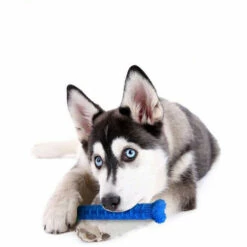 SHOPSTORY CHEWBRUSH: Der Anti-Kalk-Kauknochen Für Hunde 9 SHOPSTORY CHEWBRUSH: Der Anti-Kalk-Kauknochen Für Hunde -Hundefutter Onlineshop 54675238 5