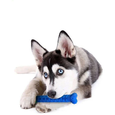 SHOPSTORY CHEWBRUSH: Der Anti-Kalk-Kauknochen Für Hunde 5 SHOPSTORY CHEWBRUSH: Der Anti-Kalk-Kauknochen Für Hunde – Bild 5