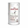 ROYAL CANIN Royal Milk Canin Babydog Milch FÙr Jungen, Die Reich An Protein - 400 G