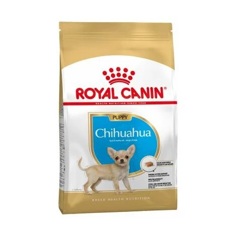 Essen, Royal Canin Chihuahua Welpe (Junior) Chihuahua Welpen (bis Zu 8 Monate) - 500g 1 Essen, Royal Canin Chihuahua Welpe (Junior) Chihuahua Welpen (bis Zu 8 Monate) - 500g