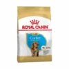 Essen, Royal Canin Cocker Puppy (Junior) Cocker Rader Welpen (bis 12 Monate) - 3 Kg