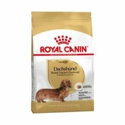 Essen, Royal Canin Dachshund Erwachsene Hunde Von Erwachsenen Und Maduro Teckel Race (ab 10 Monaten) - 1,5 Kg