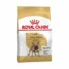 Essen, Royal Canin French Bulldog Erwachsener Bulldog -Hunde Franz_sischer Erwachsener Und Maduro (ab 12 Monaten) - 3 Kg