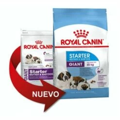 ROYAL CANIN Essen