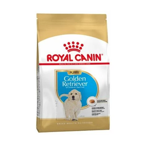 Essen, Royal Canin Golden Retriever Welpen (Junior) Welpen (bis Zu 15 Monate) - 12 Kg 1 Essen, Royal Canin Golden Retriever Welpen (Junior) Welpen (bis Zu 15 Monate) - 12 Kg