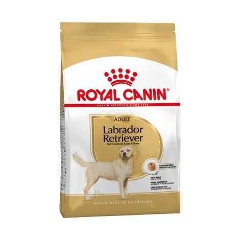 Essen, Royal Canin Labrador Retriever Erwachsener Erwachsener Und Maduro Dog (ab 15 Monaten) - 3 Kg 1 Essen, Royal Canin Labrador Retriever Erwachsener Erwachsener Und Maduro Dog (ab 15 Monaten) - 3 Kg