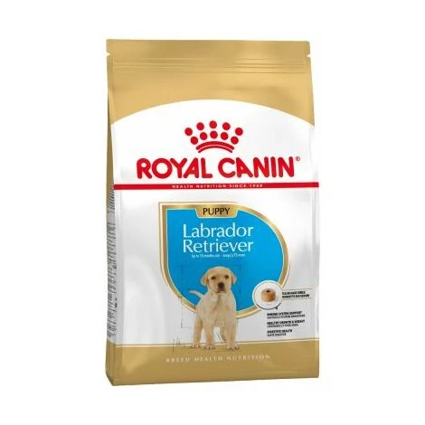 Essen, Royal Canin Labrador Retriever Welpen (Junior) Welpen (bis Zu 15 Monate) - 12 Kg 1 Essen, Royal Canin Labrador Retriever Welpen (Junior) Welpen (bis Zu 15 Monate) - 12 Kg