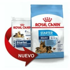Essen, Royal Canin Maxi Starter Large Tama Cubs (bis Zu 2 Monate) Und Schwangere MÙtter - 4 Kg