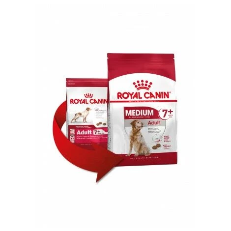 Essen, Royal Canin Medum Erwachsener 7+ FÙr Mittelgro¤e Hunde (ab 7 Jahren) - 15 Kg 1 Essen, Royal Canin Medum Erwachsener 7+ FÙr Mittelgro¤e Hunde (ab 7 Jahren) - 15 Kg