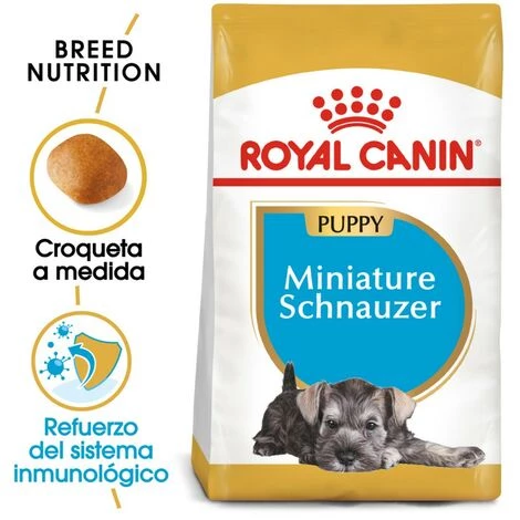 Essen, Royal Canin Miniatur Schnauzer Welpen (Junior) Welpen (bis Zu 10 Monate) 1 Essen, Royal Canin Miniatur Schnauzer Welpen (Junior) Welpen (bis Zu 10 Monate)