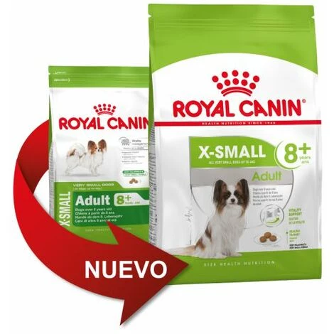 Essen, Royal Canin X -Small Adult 8+ Hunde Mit Sehr Kleinen Rassen (ab 8 Jahren) - 500 G 1 Essen, Royal Canin X -Small Adult 8+ Hunde Mit Sehr Kleinen Rassen (ab 8 Jahren) - 500 G