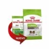 Essen, Royal Canin X -Small Altern 12+ Hunde Mit Sehr Kleiner Rasse (ab 12 Jahren) - 1,5 Kg