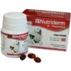 KONIG KÜnig Nutriderm - 60 Tassen Mit Fettlichen Élen Und Omega 3 Und 6 FÙr Hundehaut