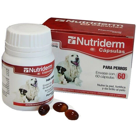 KONIG KÜnig Nutriderm - 60 Tassen Mit Fettlichen Élen Und Omega 3 Und 6 FÙr Hundehaut 1 KONIG KÜnig Nutriderm - 60 Tassen Mit Fettlichen Élen Und Omega 3 Und 6 FÙr Hundehaut