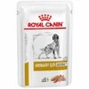 Royal Canin Eckzahn Harn-/O -Alterung 7+ - 12x85 Gr