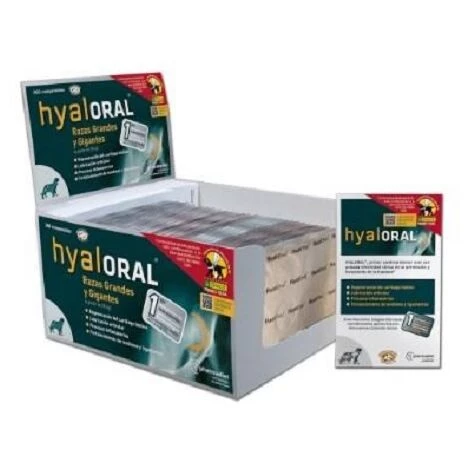 PHARMADIET Hyaloral Gro¤e Rassen Und Riesige Gesundheitskunst Bei Hunden - 360 Tabletten (Aussteller) 1 PHARMADIET Hyaloral Gro¤e Rassen Und Riesige Gesundheitskunst Bei Hunden - 360 Tabletten (Aussteller)