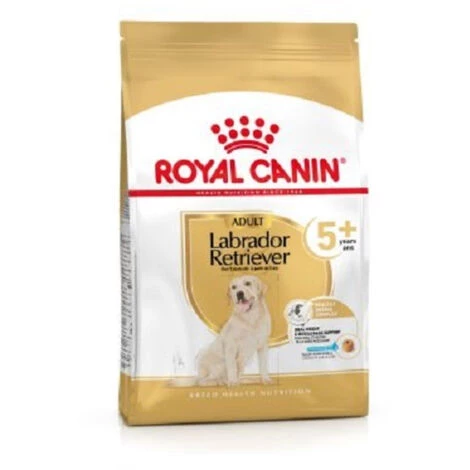 Royal Canin Labrador Retriever Erwachsener 5+, 12 Kg 1 Royal Canin Labrador Retriever Erwachsener 5+, 12 Kg
